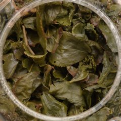 Four Seasons Oolong – Si Ji Chun