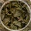Four Seasons Oolong – Si Ji Chun